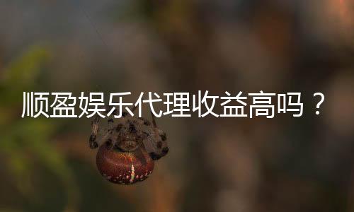 顺盈娱乐代理收益高吗?揭秘高收益背后的真实情况