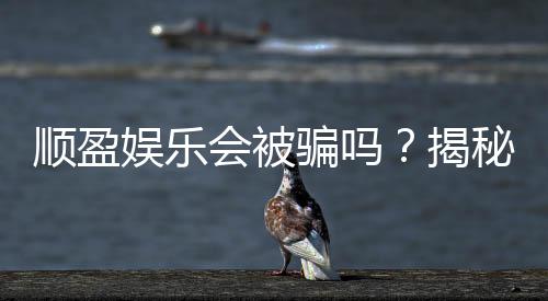 顺盈娱乐会被骗吗?揭秘平台安全性与防骗指南