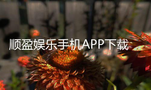 顺盈娱乐手机APP下载：畅享顶级棋牌电游的移动娱乐体验
