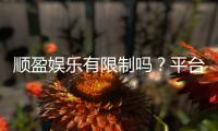 顺盈娱乐有限制吗？平台规则与玩法限制详解