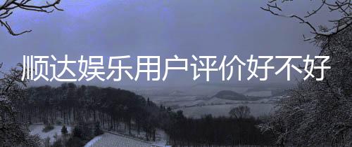 顺达娱乐用户评价好不好?真实玩家体验分享与深度解析