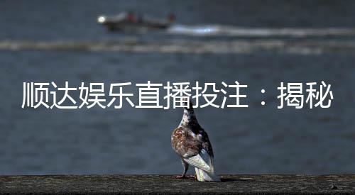 顺达娱乐直播投注:揭秘高胜率玩家的实战技巧与策略