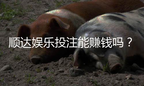 顺达娱乐投注能赚钱吗？揭秘真实盈利模式与实战技巧