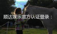 顺达娱乐官方认证登录：安全便捷的一站式游戏入口