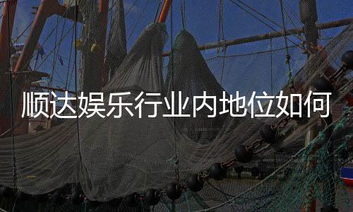 顺达娱乐行业内地位如何？深度解析其市场竞争力与玩家口碑