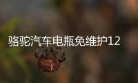骆驼汽车电瓶免维护12V45AH 46B24R适配五菱宏光吉利金刚夏利森雅