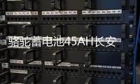 骆驼蓄电池45AH长安之星2/3东方小康K17/C37小面包车原装汽车电瓶