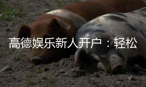 高德娱乐新人开户:轻松注册即享首存礼包与独家优惠