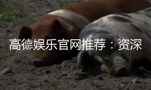 高德娱乐官网推荐:资深玩家揭秘最佳游戏体验与优惠活动