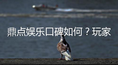鼎点娱乐口碑如何?玩家真实评价与体验分享