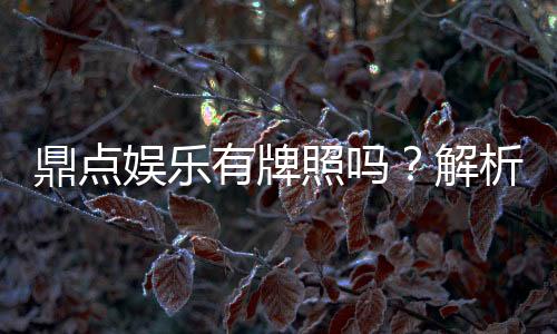 鼎点娱乐有牌照吗？解析其正规性与牌照详情
