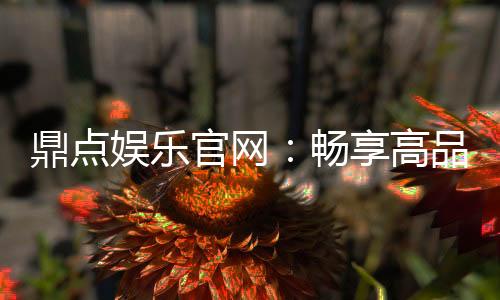 鼎点娱乐官网:畅享高品质棋牌与电子游艺新体验