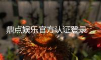 鼎点娱乐官方认证登录：安全便捷的一站式游戏平台入口
