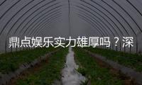 鼎点娱乐实力雄厚吗？深度解析其平台优势与玩家真实体验
