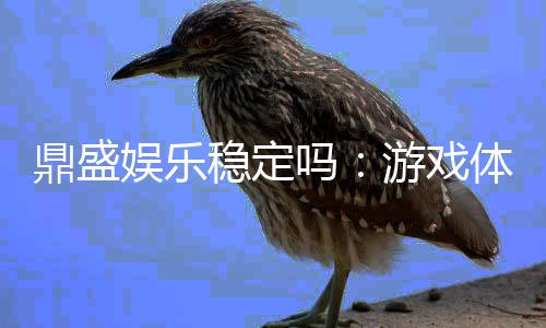 鼎盛娱乐稳定吗:游戏体验值得信赖