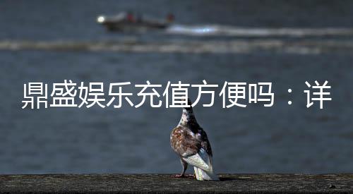 鼎盛娱乐充值方便吗：详细体验分享