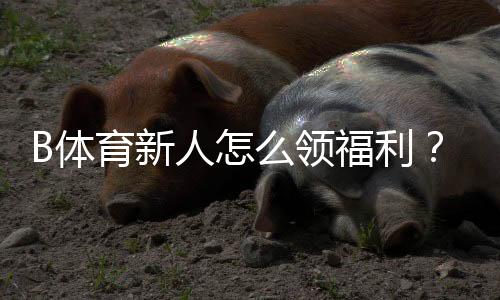 B体育新人怎么领福利？注册领取流程、优惠种类与注意事项详解