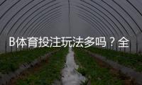 B体育投注玩法多吗？全面解析玩法种类、规则与新手投注技巧
