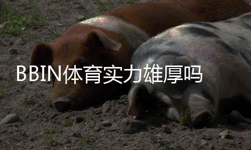 BBIN体育实力雄厚吗?权威评测:平台背景、安全性与优势全面解析
