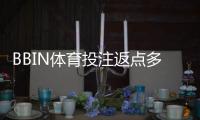 BBIN体育投注返点多少？最新返点比例解析、计算方法与提升技巧