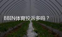 BBIN体育投诉多吗？真实投诉数量、常见问题与平台处理流程全面解析