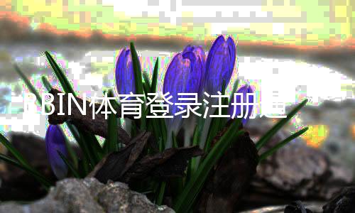 BBIN体育登录注册通道详解:新手快速注册登录步骤与常见问题解决
