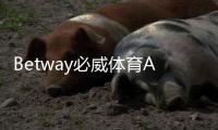 Betway必威体育APP注册怎么做？新手一步步图文教程与常见问题解答