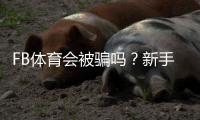 FB体育会被骗吗？新手必看真实评测与防骗全攻略