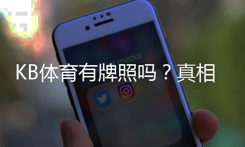 KB体育有牌照吗?真相揭秘与官方牌照查询及风险识别指南