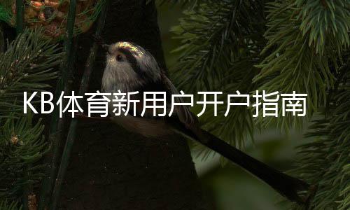 KB体育新用户开户指南：零基础注册流程、实名认证与首存优惠全攻略