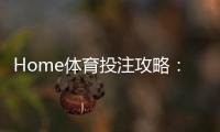 Home体育投注攻略：从入门到精通的实战技巧解析