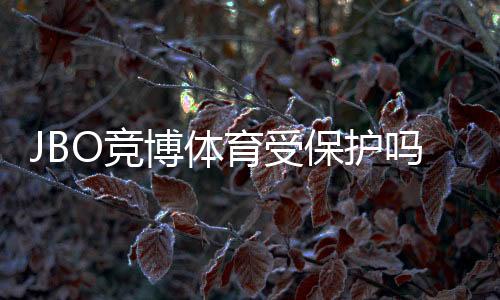 JBO竞博体育受保护吗?平台安全、法律合规与用户维权全面解析