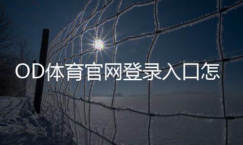 OD体育官网登录入口怎么登录？官方教程、注册流程与安全注意事项