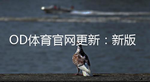 OD体育官网更新:新版功能详解与登录、投注操作全攻略
