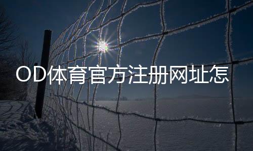 OD体育官方注册网址怎么注册?最新官方注册流程、验证方法与常见问题解答