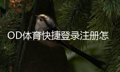 OD体育快捷登录注册怎么操作?新手快速完成账号创建与登录全攻略