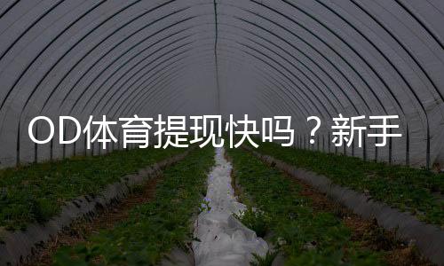 OD体育提现快吗？新手必看：提现速度、到账时间与常见延迟原因详解