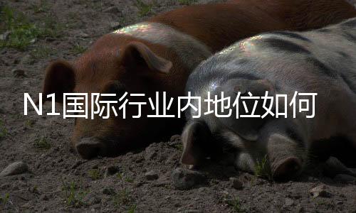 N1国际行业内地位如何?行业排名、竞争优势与未来前景深度解析