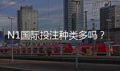N1国际投注种类多吗?完整玩法分类与新手入门攻略
