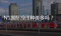 N1国际投注种类多吗？完整玩法分类与新手入门攻略