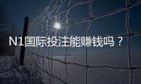 N1国际投注能赚钱吗？真实收益解析与新手赚钱攻略