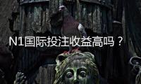 N1国际投注收益高吗？真实收益分析、风险评估与提升盈利的实用策略