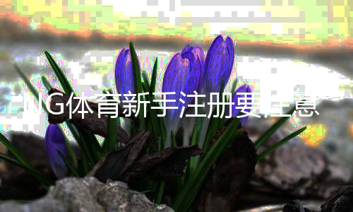 NG体育新手注册要注意什么？注册流程、安全验证与常见问题全面解析