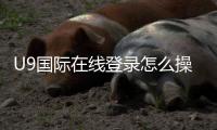 U9国际在线登录怎么操作？新手注册登录详细教程与常见问题解决