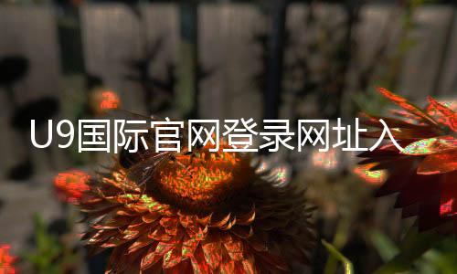 U9国际官网登录网址入口与最新官方域名:登录步骤、账号注册与安全指南