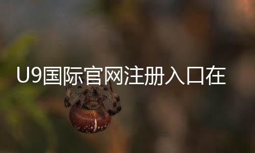 U9国际官网注册入口在哪里？新手快速注册流程与注意事项详解