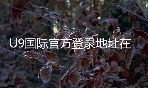U9国际官方登录地址在哪里?最新入口与安全登录完整指南