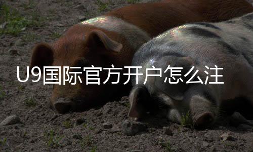 U9国际官方开户怎么注册？新手一步步开户流程与注意事项详解