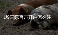 U9国际官方开户怎么注册？新手一步步开户流程与注意事项详解