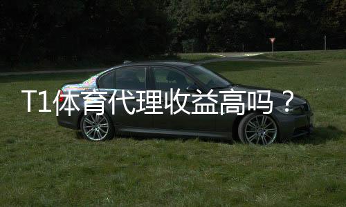 T1体育代理收益高吗?真实收益解析、分成模式与赚钱攻略